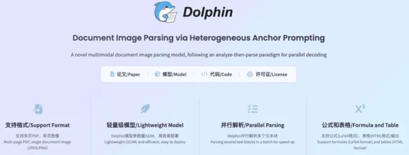 dolphin