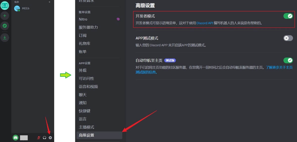 Developer mode of discord
